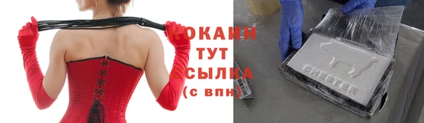 МДПВ Краснослободск