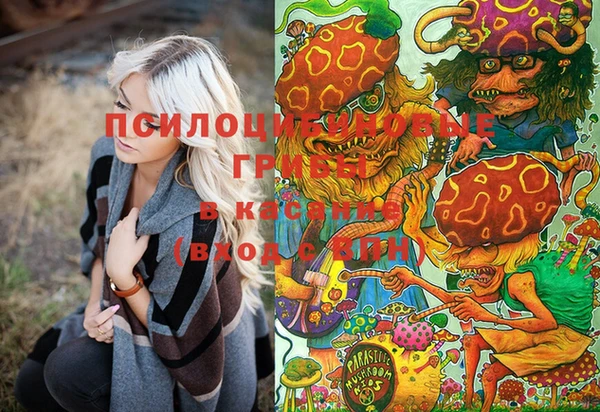 МДПВ Краснослободск