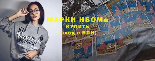 МДПВ Краснослободск