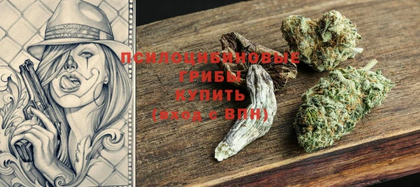 МДПВ Краснослободск