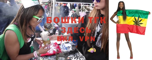 МДПВ Краснослободск
